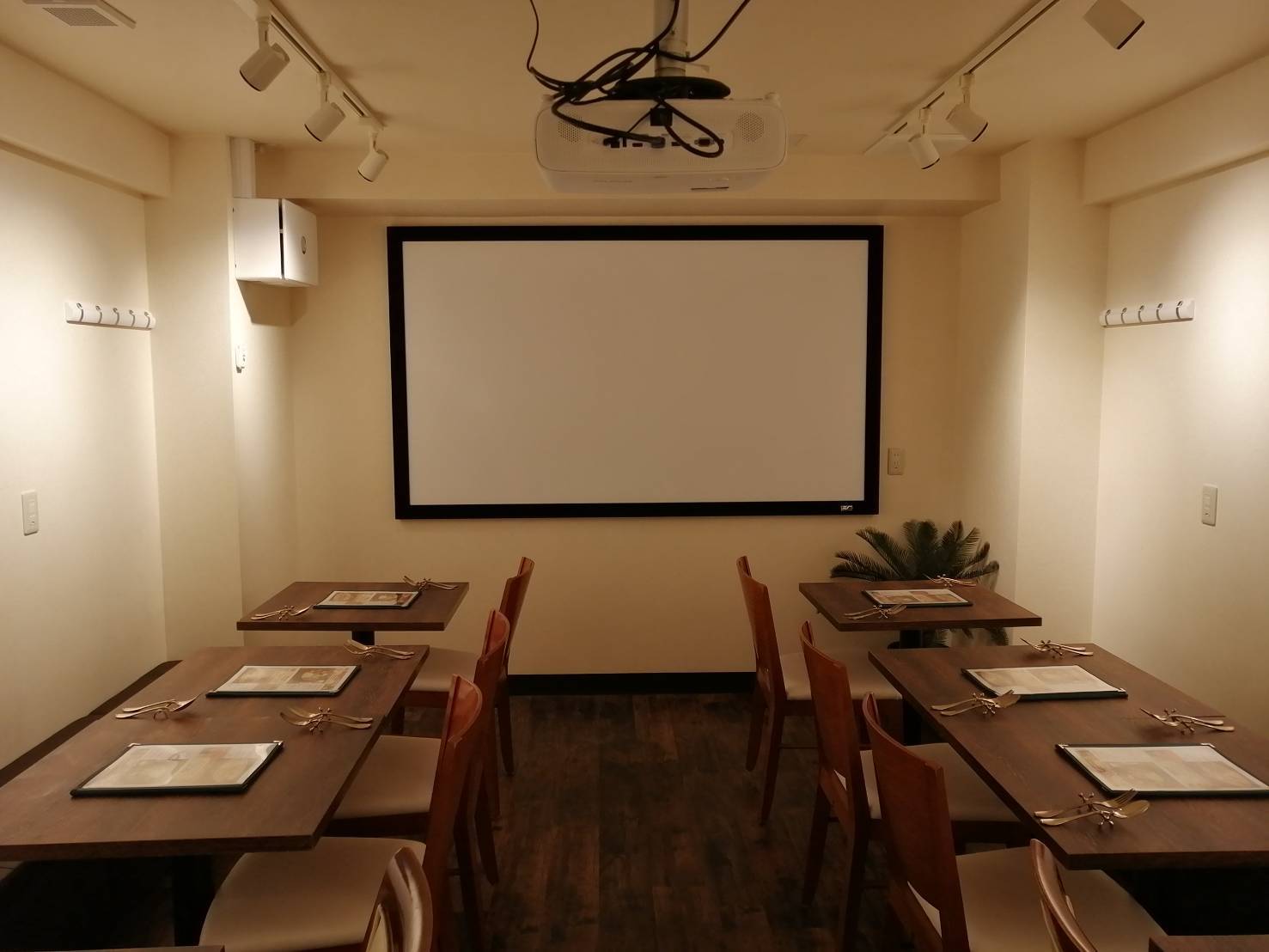 1.B1F 4K Projector Screen